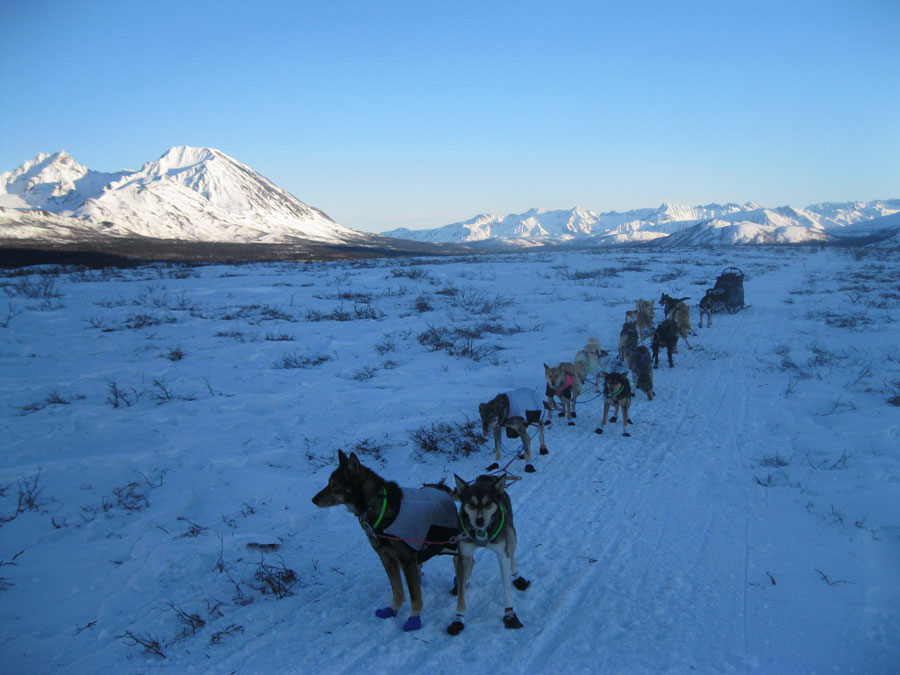 2011 Iditarod   Rainy Pass