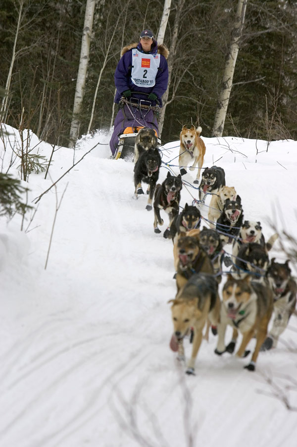 32 Restart In Willow