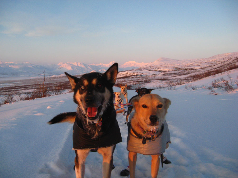 Leaders Slurp And Kuling