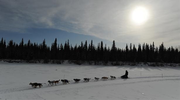 Sleddogsixpg Horizontal